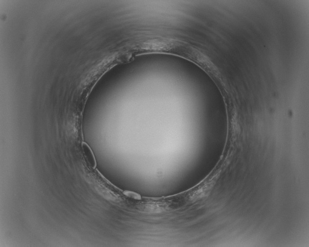 X0000056350305200508291329