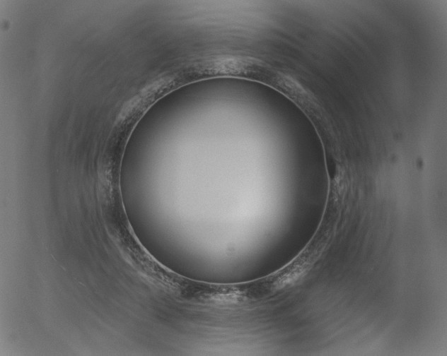 X0000056350306200508291329