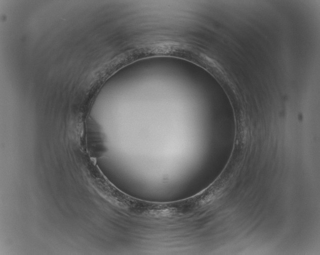 X0000056350307200508291329