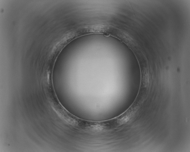 X0000056350310200508291329