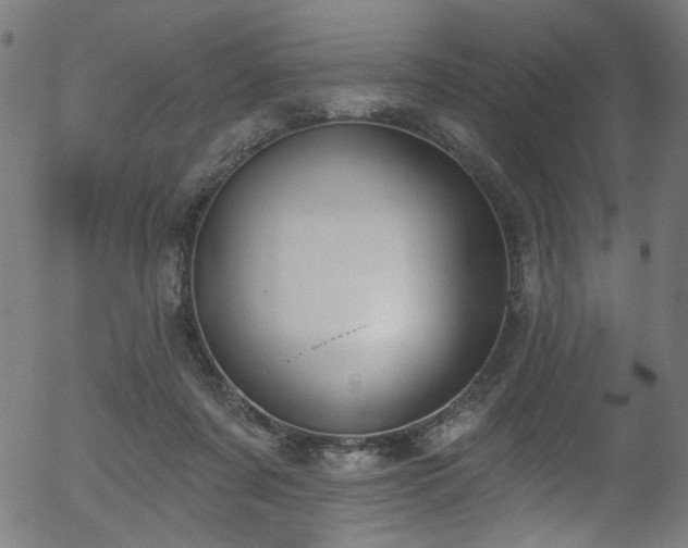 X0000056350311200508291329