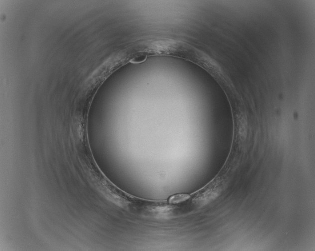 X0000056350313200508291329