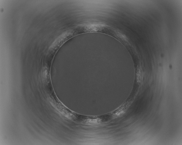 X0000056350314200508291329