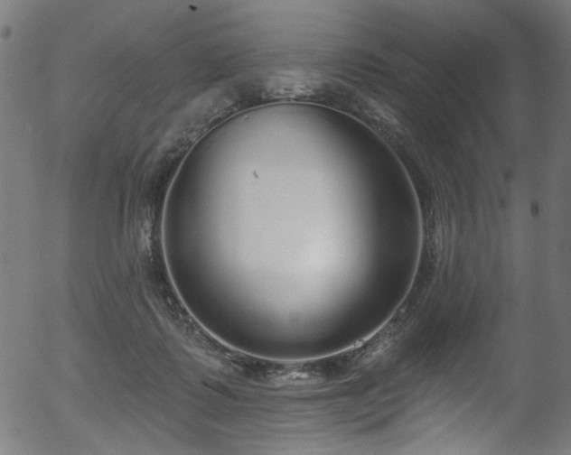 X0000056350315200508291329