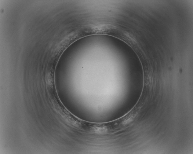 X0000056350317200508291329