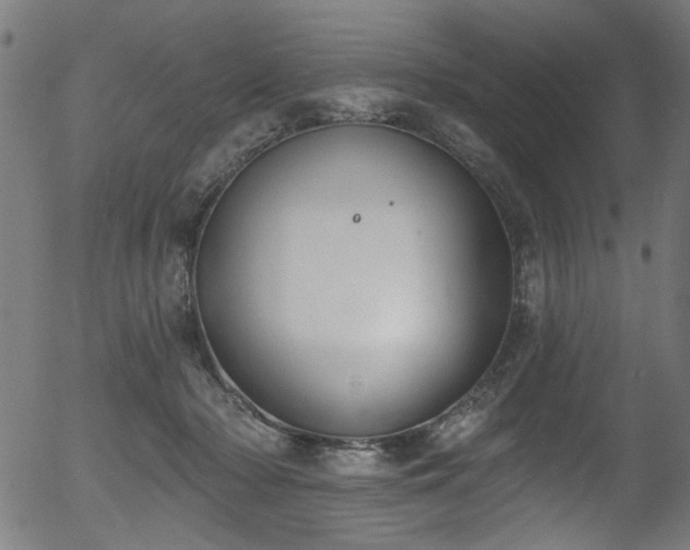 X0000056350318200508291329