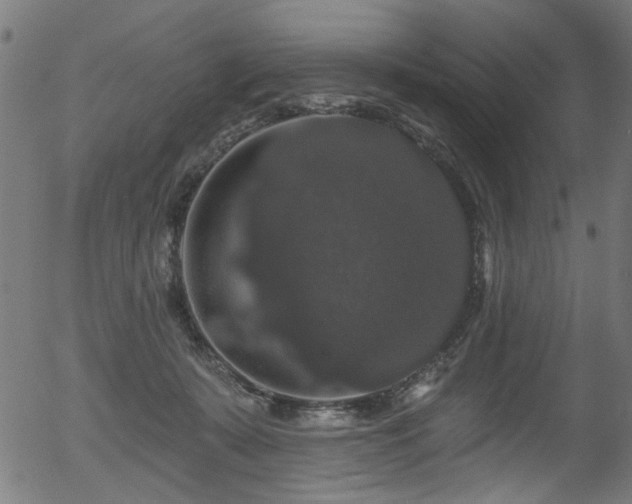 X0000056350319200508291329