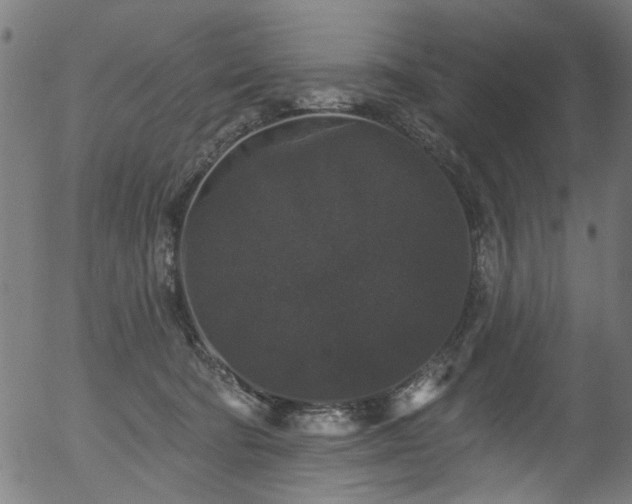 X0000056350322200508291329