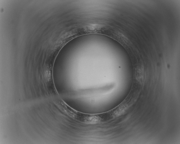 X0000056350324200508291329