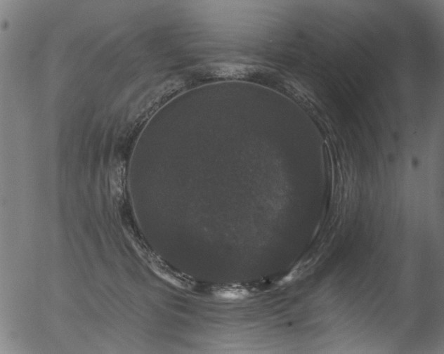 X0000056350325200508291329