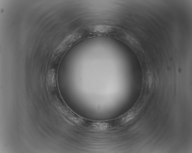 X0000056350328200508291329