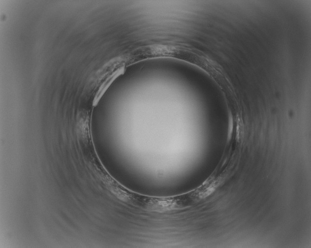 X0000056350329200508291329