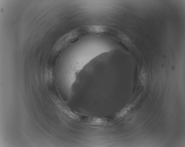 X0000056350330200508291329