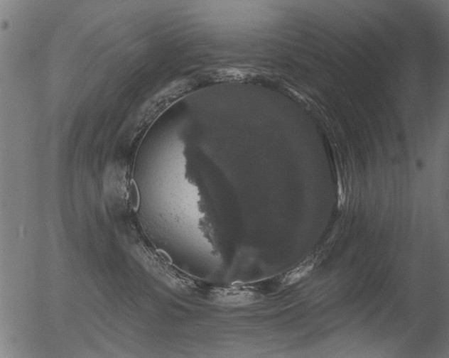 X0000056350331200508291328