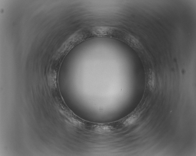 X0000056350332200508291328