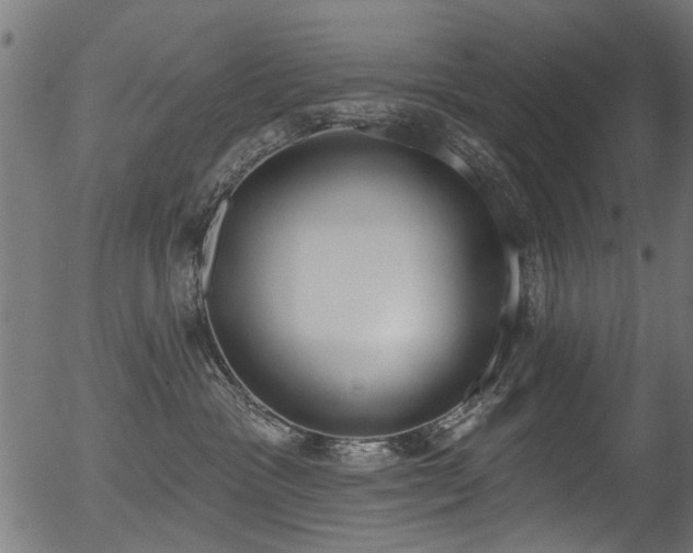 X0000056350333200508291328