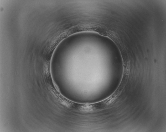 X0000056350335200508291328