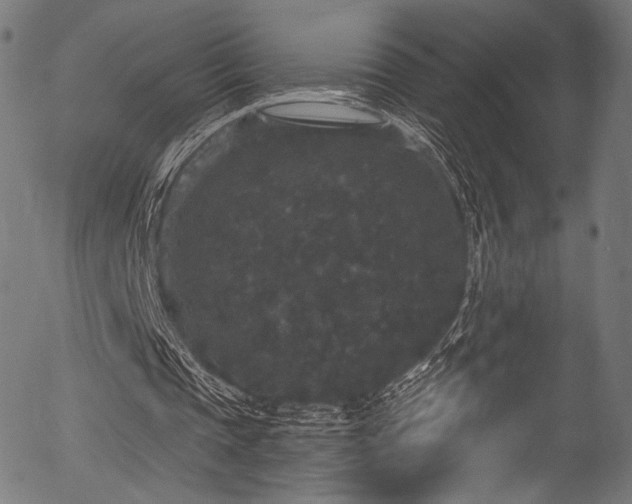 X0000056350337200508291328