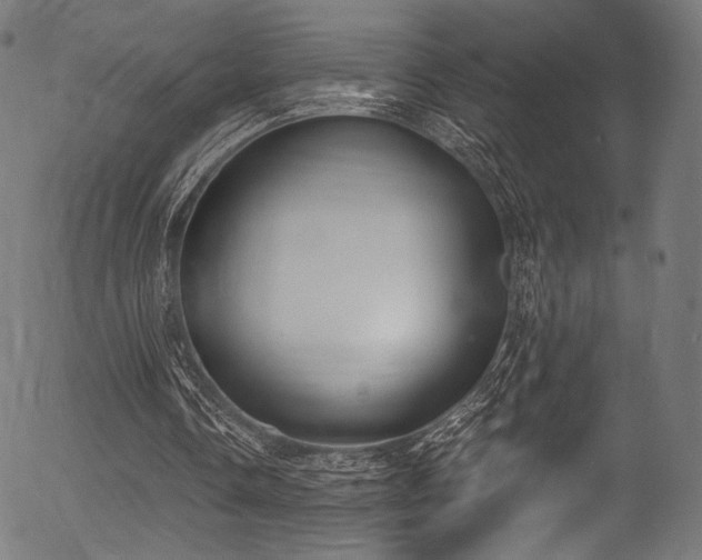 X0000056350338200508291328