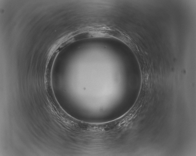 X0000056350340200508291328