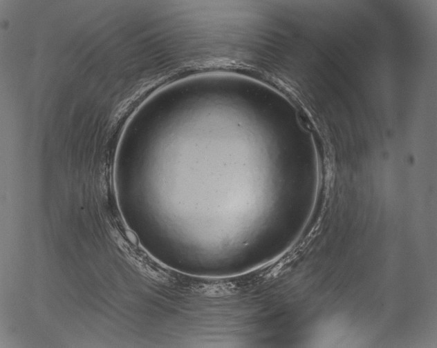 X0000056350345200508291328