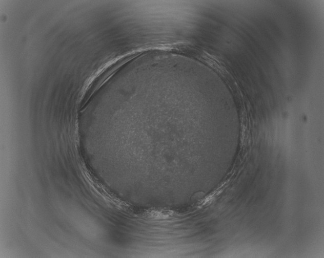 X0000056350346200508291328