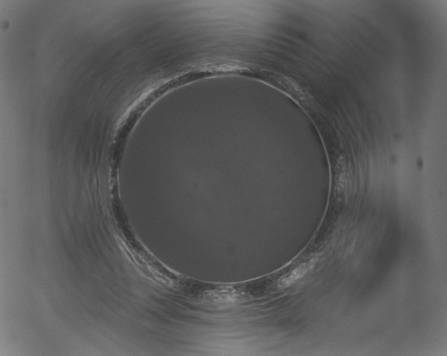 X0000056350351200508291328