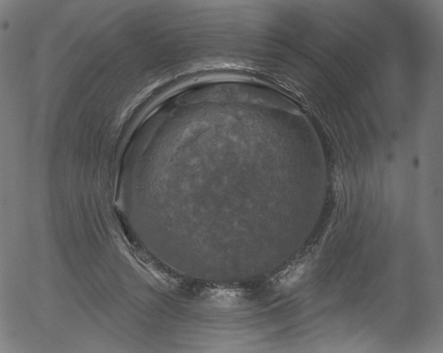 X0000056350352200508291328