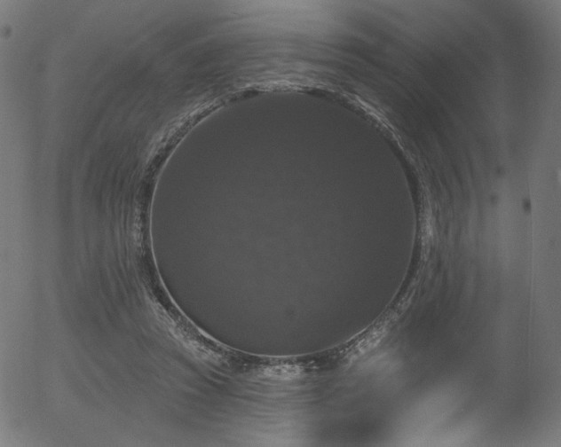 X0000056350353200508291328