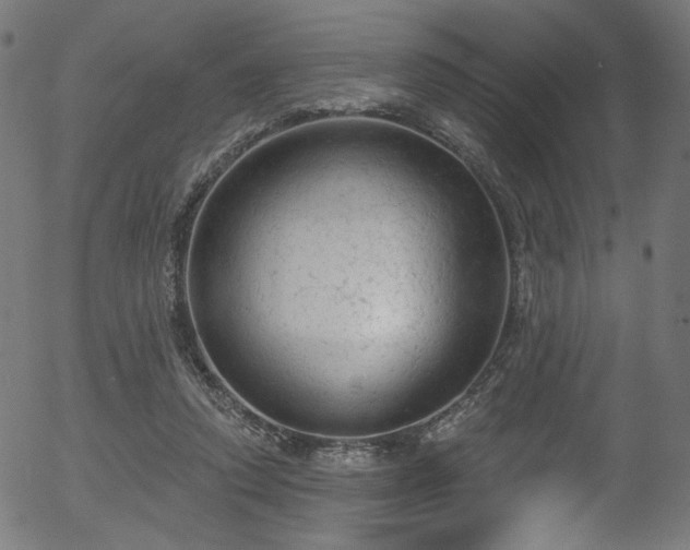 X0000056350354200508291328