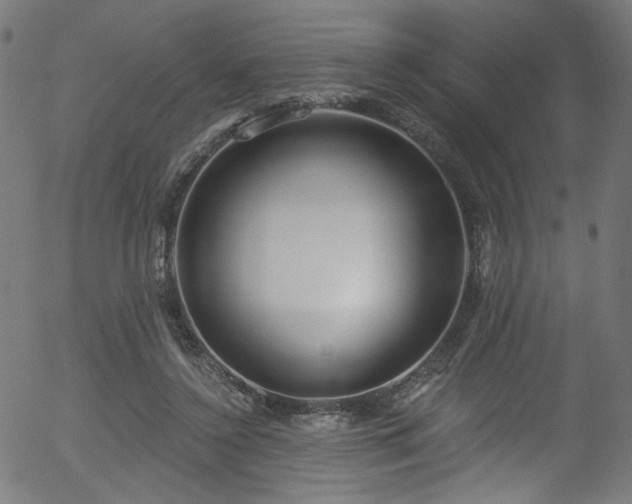 X0000056350356200508291328