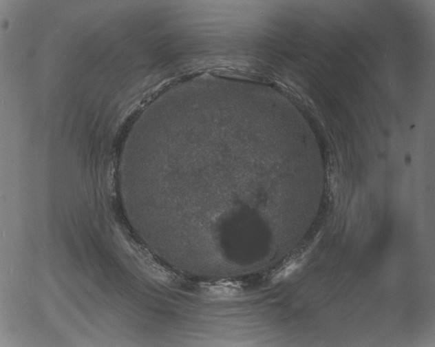 X0000056350359200508291328