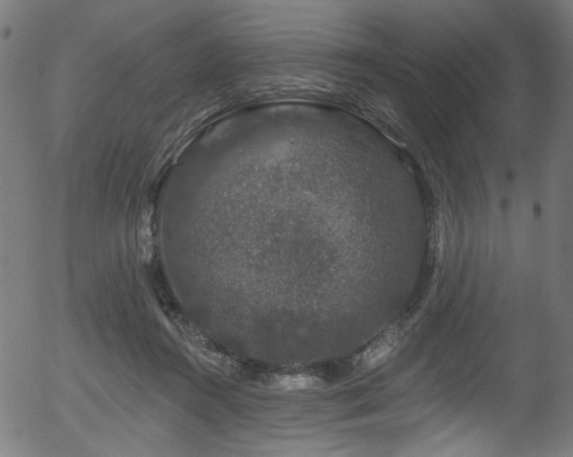 X0000056350360200508291328