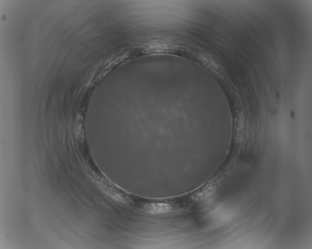 X0000056350361200508291328