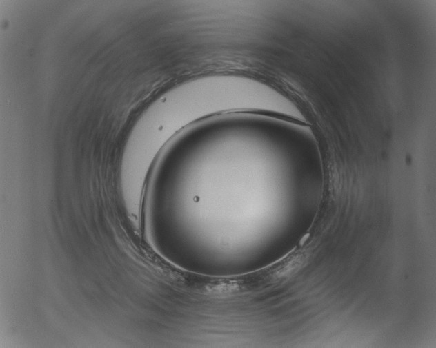 X0000056350362200508291328