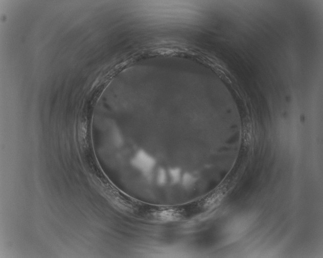 X0000056350365200508291328