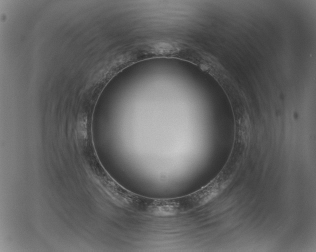 X0000056350368200508291328