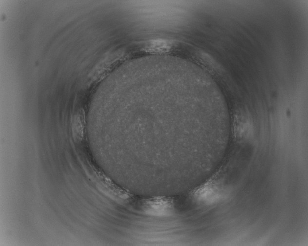 X0000056350370200508291328