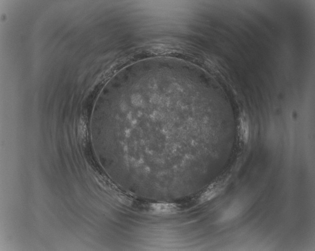 X0000056350371200508291328