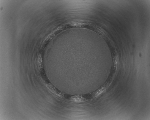 X0000056350372200508291328