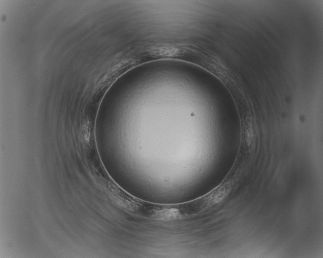 X0000056350374200508291328