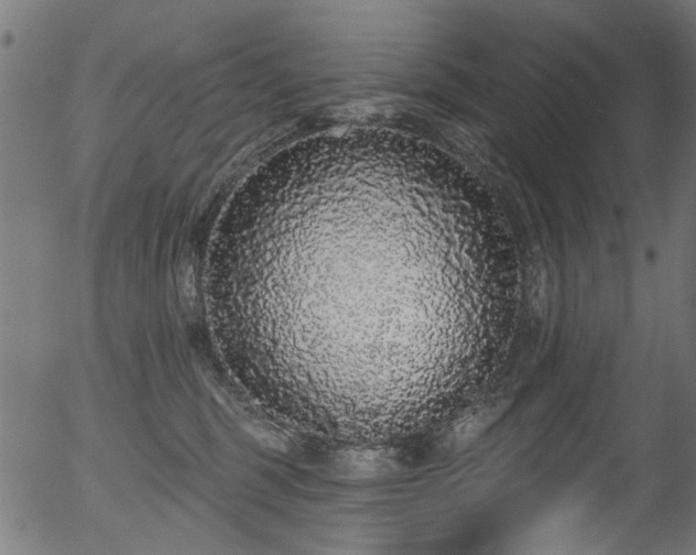 X0000056350375200508291328