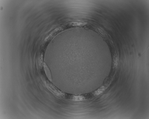 X0000056350376200508291328