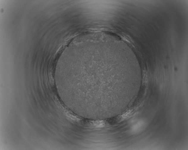 X0000056350377200508291328