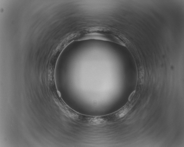 X0000056350379200508291328