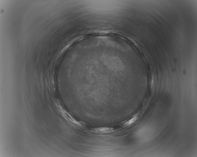 X0000056350380200508291328