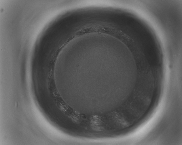 X0000056350382200508291328