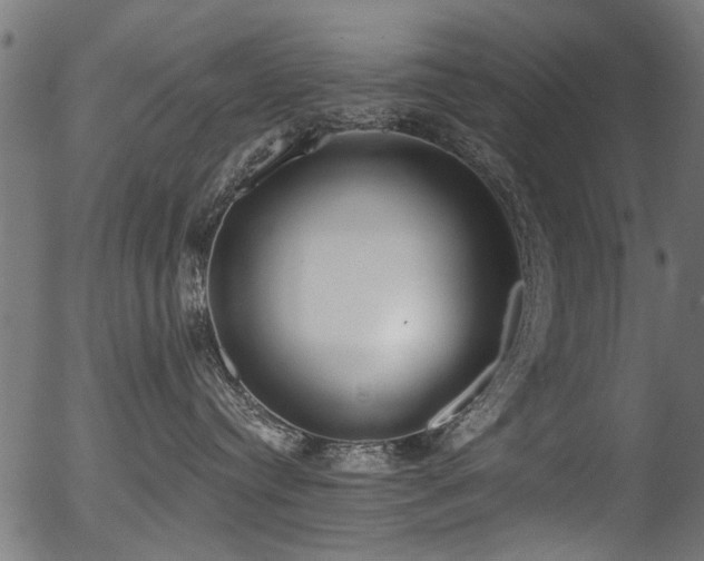 X0000056350384200508291328