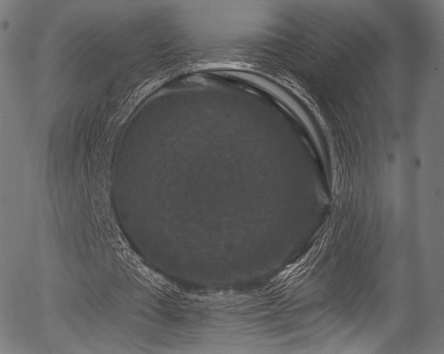 X0000056350385200508291328