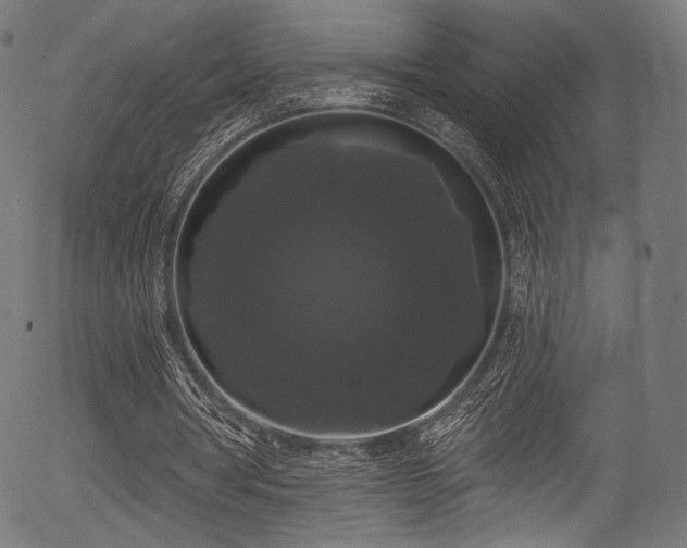 X0000056350386200508291328